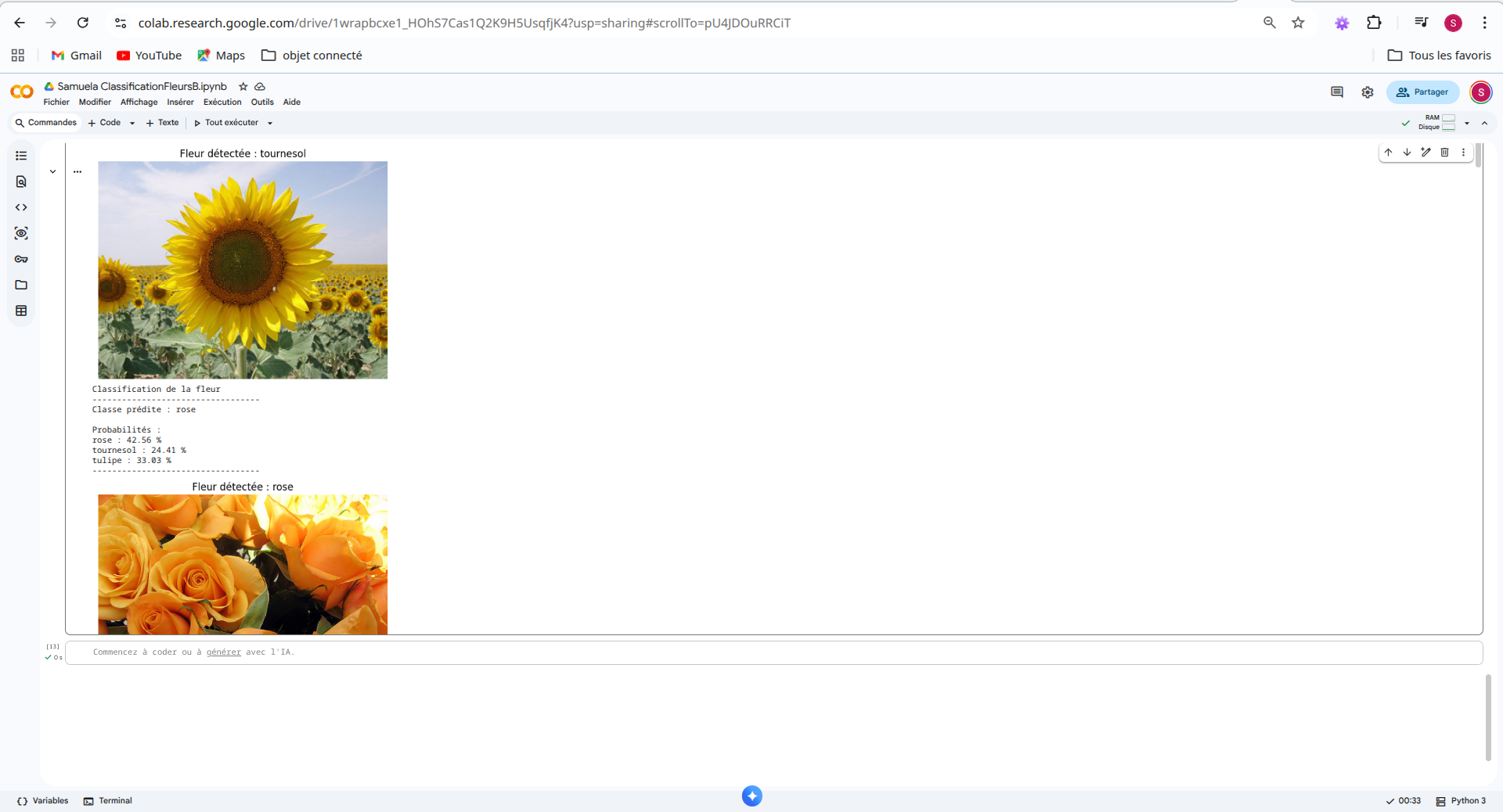 FlowerAI – Reconnaissance de fleurs avec intelligence artificielle